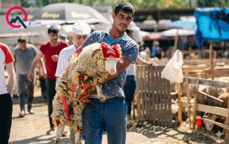 1779828835_qurbann