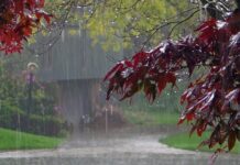 Sabah yağış yağacaq, dolu düşəcək – Hava proqnozu