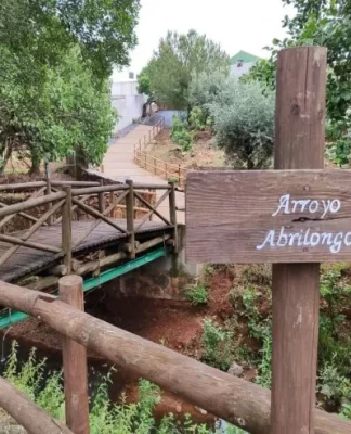 Dünyanın ən qısa beynəlxalq körpüsü: bir neçə addım aralıda başqa ölkə