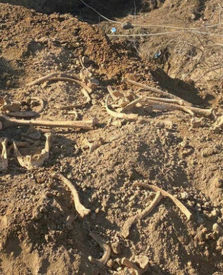 Ağdamda insan skeletinə bənzər qalıqlar aşkarlanıb