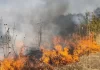Ağdamda minalanmış ərazidə yanğın başladı