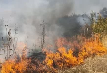 Ağdamda minalanmış ərazidə yanğın başladı
