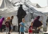 Suriyadan daha 16 Azərbaycan vətəndaşı gətirildi
