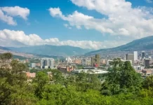 880 min ağac əkildi, şəhərdə temperatur bir neçə dərəcə aşağı düşdü