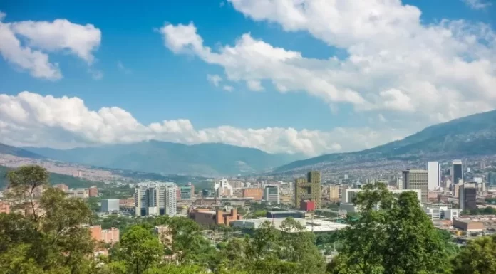 880 min ağac əkildi, şəhərdə temperatur bir neçə dərəcə aşağı düşdü