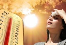 Bu gün rayonlarda 39 dərəcə isti olacaq