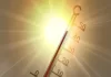 Dünyada bu ilin ən yüksək temperaturu qeydə alındı – 51,5 dərəcə