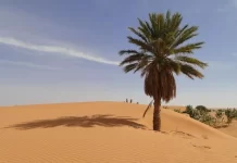 Turistlərin getmədiyi ölkənin görünməmiş ekzotikası