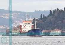 Ukraynada azərbaycanlıların olduğu gəmiyə DRON HÜCUMU EDİLDİ