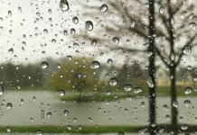 Hava ilə bağlı xəbərdarlıq edildi