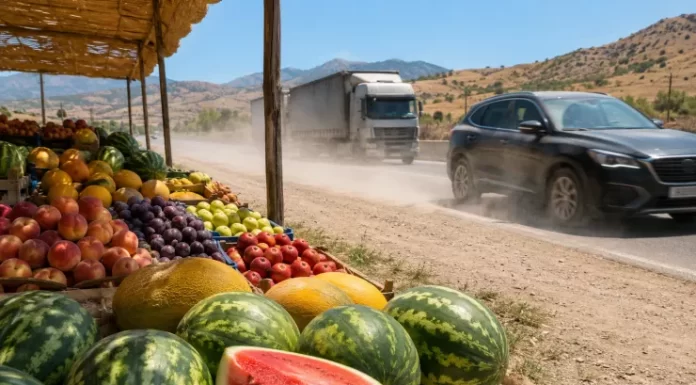 Yol kənarındakı rəngarəng meyvələrin arxasındakı BƏLA: Süfrənizə zəhər gətirir