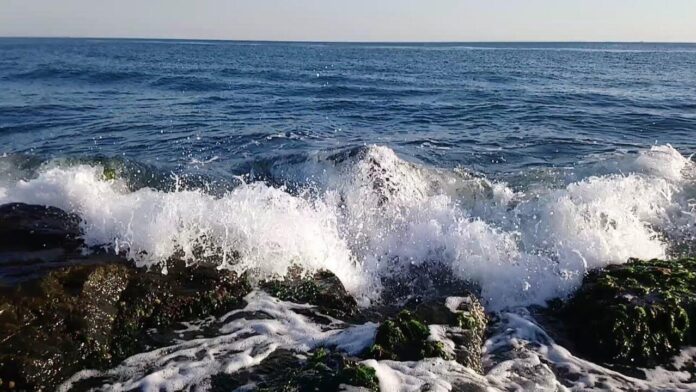 deniz_dalga