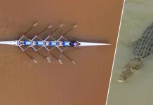 Avarçəkənlər Olimpiadada timsahlarla yarışacaqlar