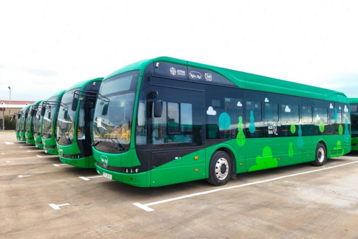 avtobus_2025 (2)