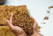 Azərbaycan 9 ayda 112 milyon dollara yaxın tütün idxal edib
